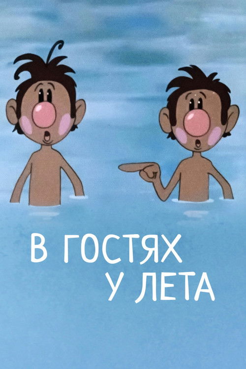 Visiting Summer (1972) poster