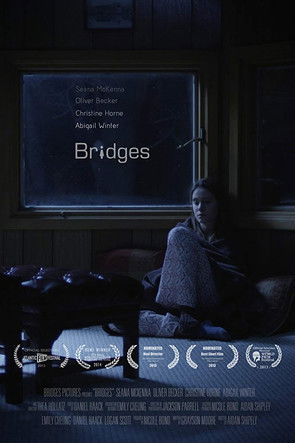 Bridges (2013) poster