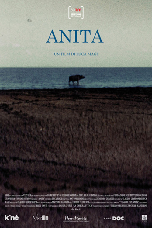 Anita (2012) poster