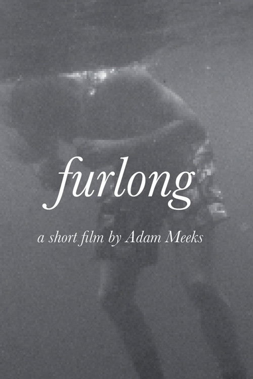 Furlong (2019) poster