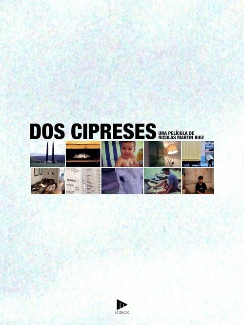 Dos cipreses (2024) poster