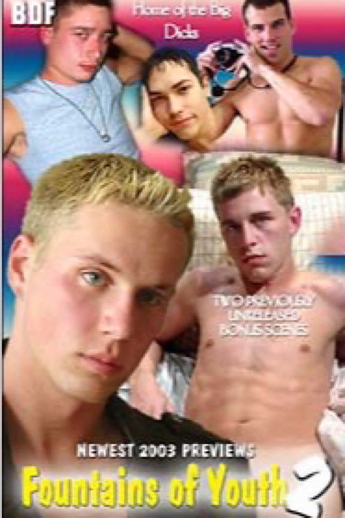 Fountains of Youth 2 (2003) poster