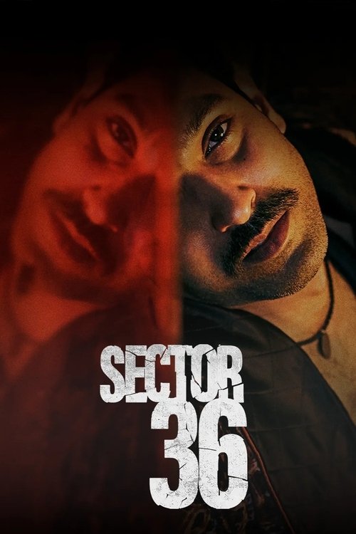 Yeni Delhi Cinayetleri (2024) poster