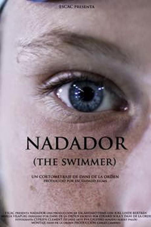 The Swimmer (2013) poster