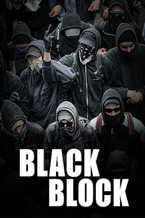 Black Block (2011) poster