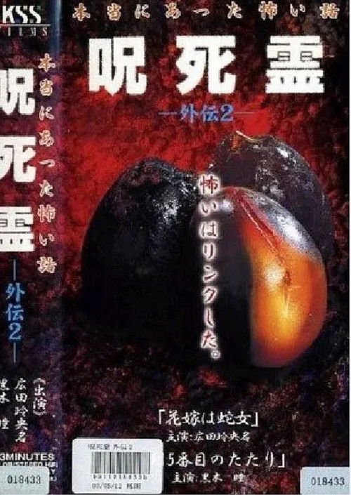 Curse. Death. Ling Gaiden 2. A scary story that really happened Cursed Spirit Gaiden 2 (2000) poster
