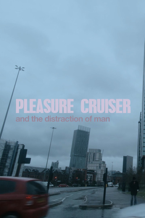 Pleasure Cruiser (2022) poster