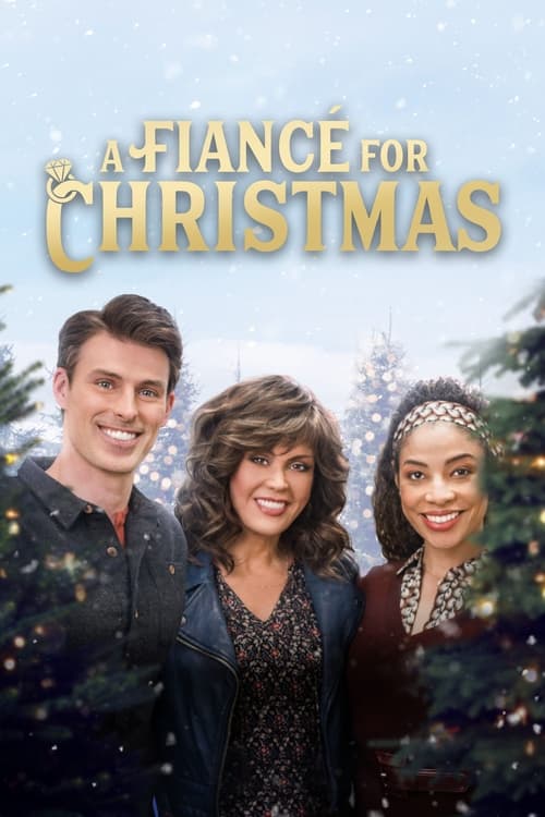 A Fiancé for Christmas (2021) poster