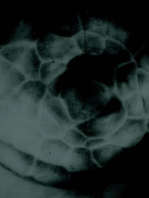 occhiolino (2022) poster