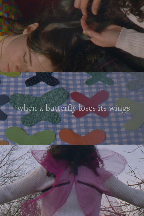 When A Butterfly Loses Its Wings (2020) poster