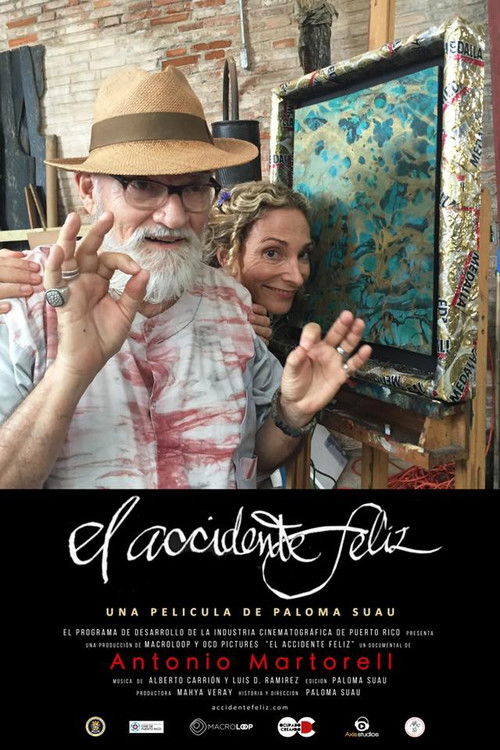 The Happy Accident (2020) poster