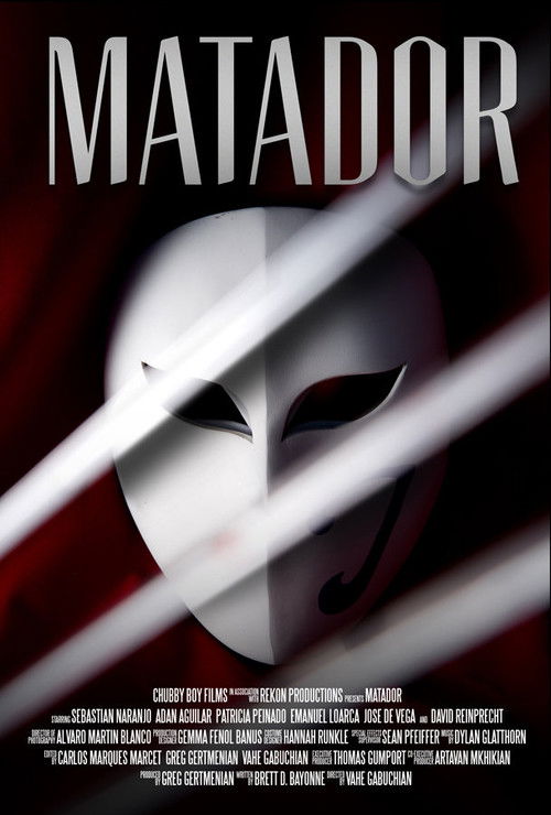 Matador (2014) poster