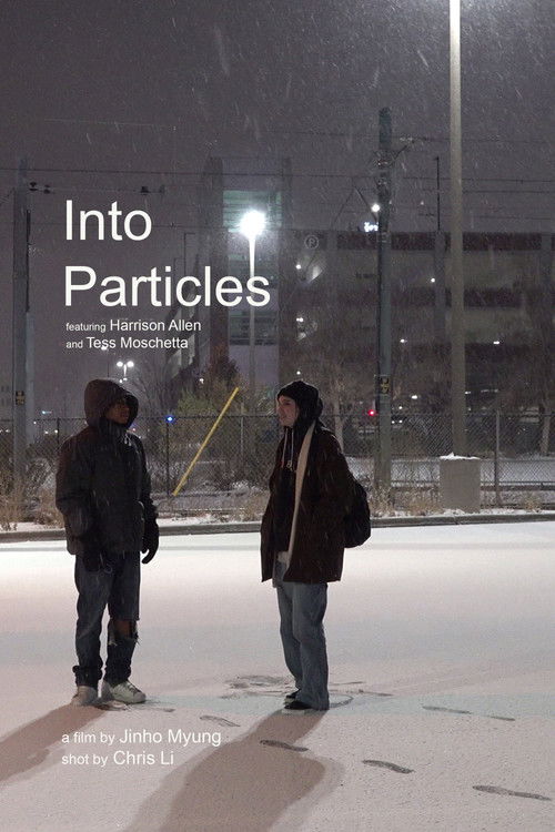 Into Particles (2023) poster