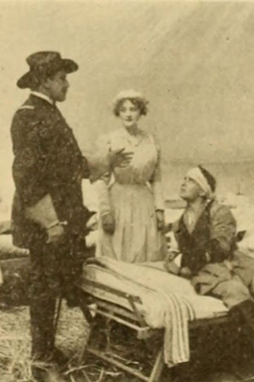 A Dixie Mother (1910) poster