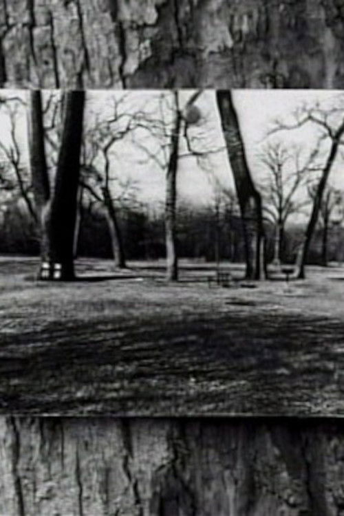 Zeno's Paradox (2003) poster