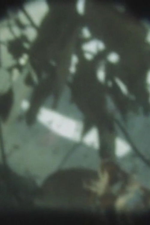 INITIAL VAPOR (2012) poster