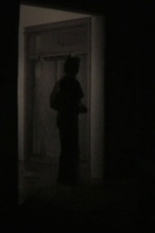 a film about nothing or my friend, jake, in new mexico (2023) poster