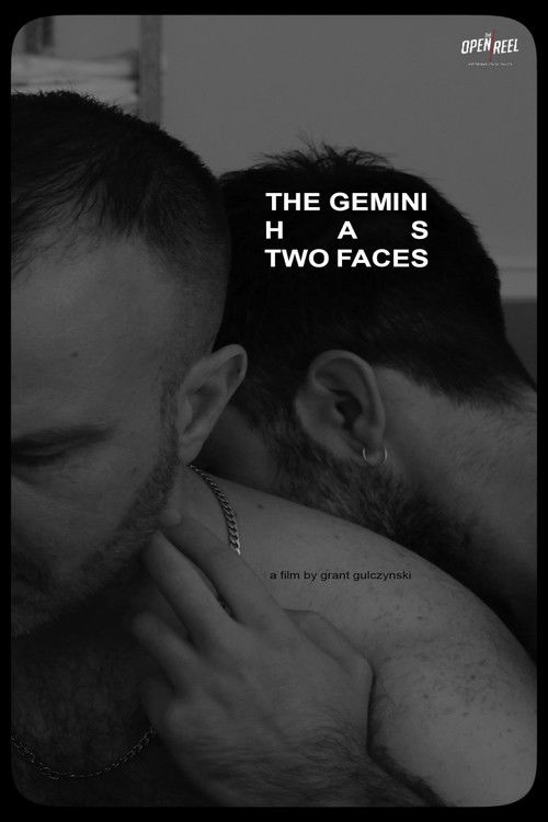 The Gemini Has Two Faces (2023) poster