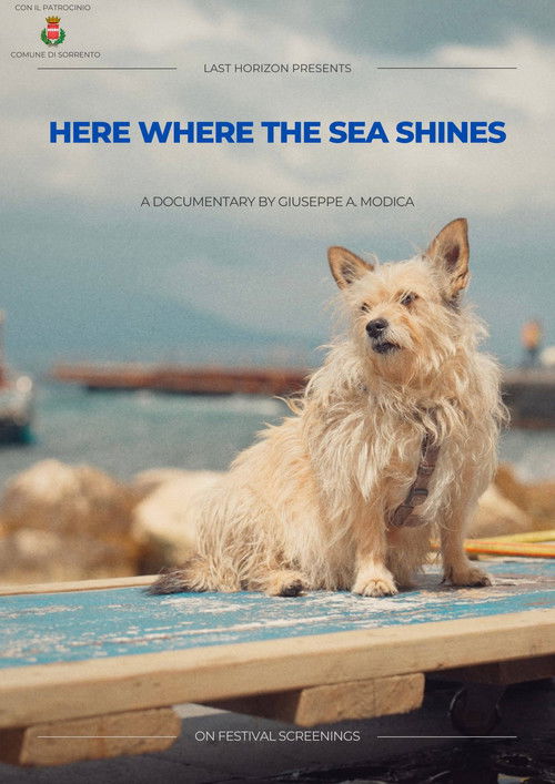 Here where the sea shines (2025) poster