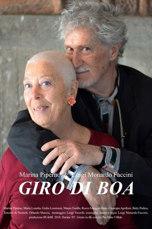 Giro di boa (2018) poster