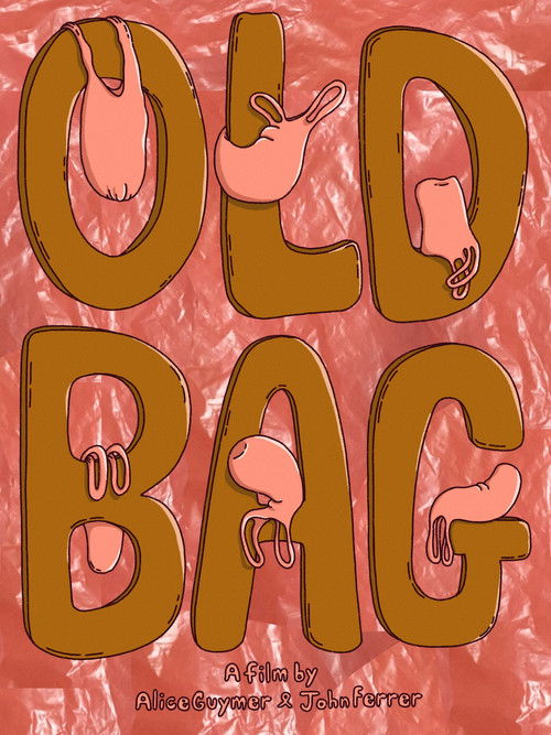 Old Bag (2026) poster
