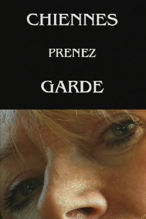 Chiennes, prenez garde ! (1999) poster