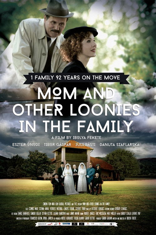 Mom and Other Loonies in the Family (2015) poster
