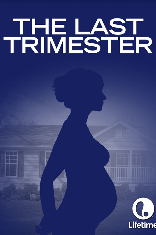 The Last Trimester (2007) poster