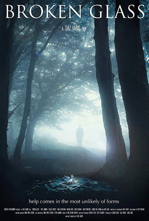 Broken Glass (2012) poster