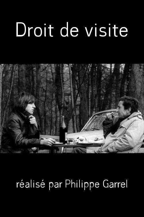 Right of Access (1965) poster