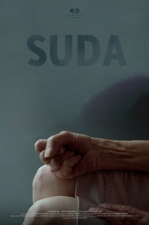 Suda (2012) poster