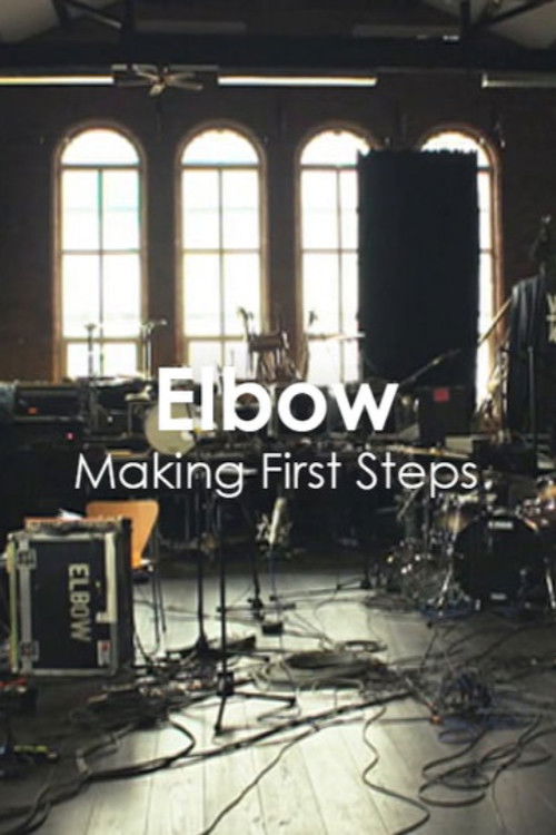 Making First Steps (2012) poster