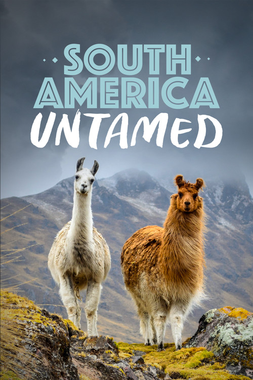 South America Untamed (2018) poster