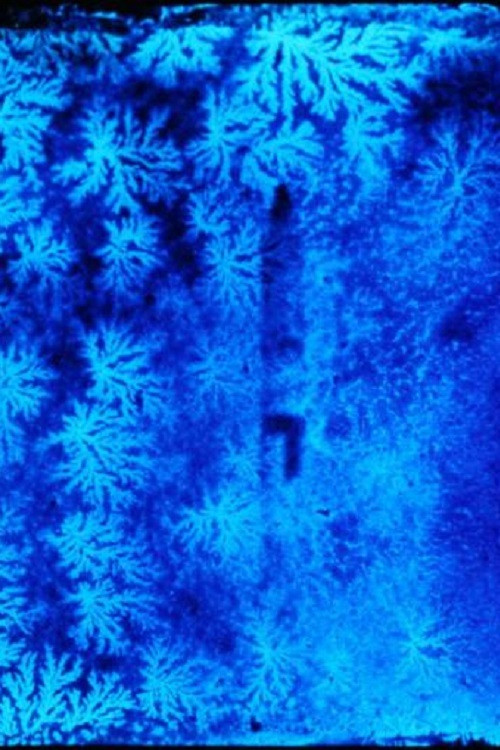 Fear of Blushing (2001) poster