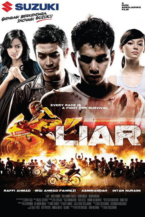 Liar (2008) poster
