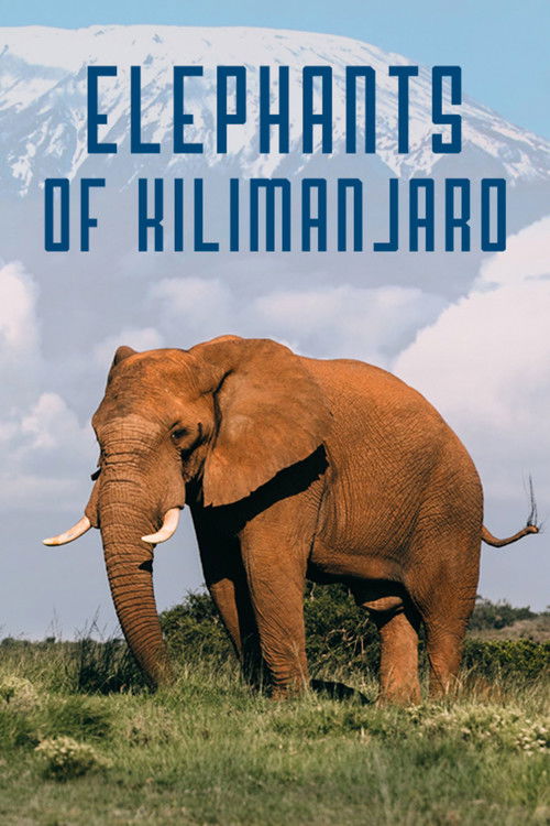 Elephants of Kilimanjaro (2022) poster