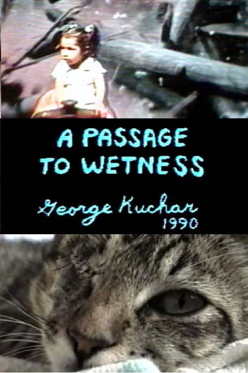 A Passage to Wetness (1990) poster