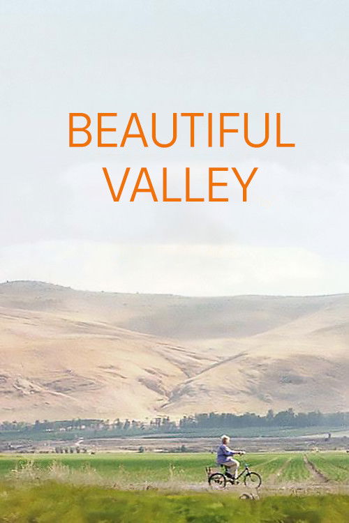A Beautiful Valley (2011) poster