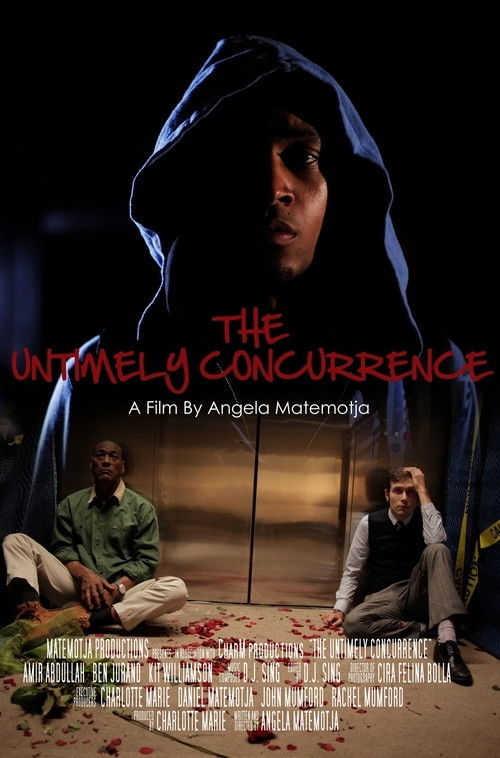 The Untimely Concurrence (2012) poster