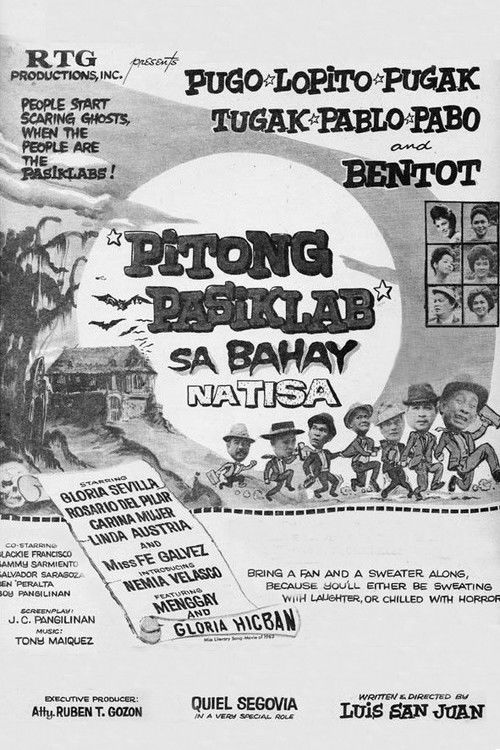 Pitong Pasiklab sa Bahay na Tisa (1963) poster