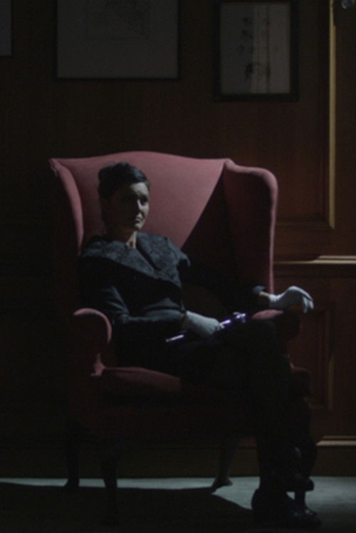 There Is No Such Thing as a Jellyfish (2014) poster