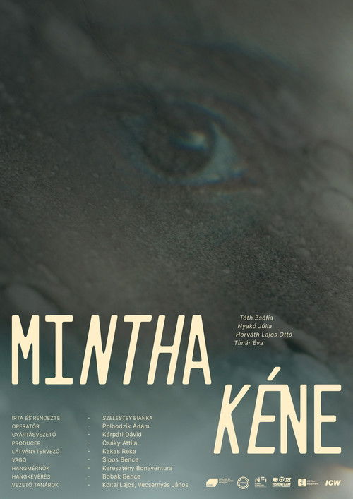 Mintha kéne (2022) poster