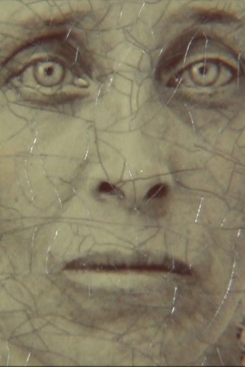 Action 13 (2010) poster