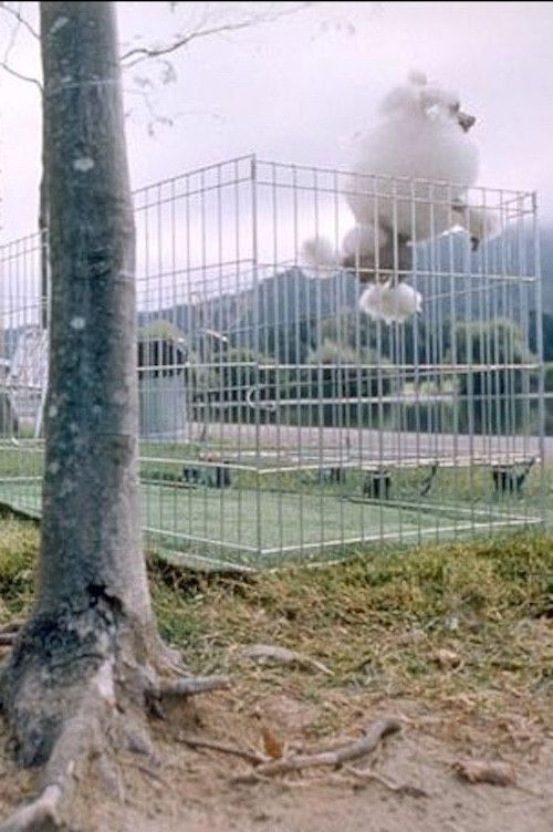 O psoch a ľuďoch (1993) poster