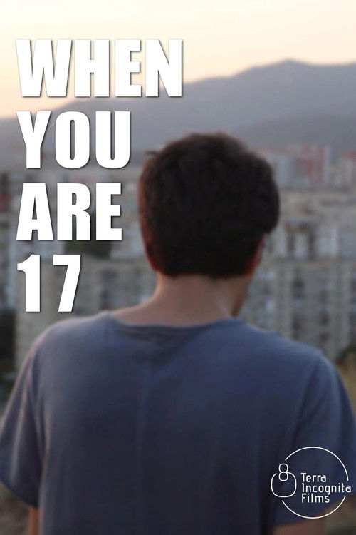 როცა 17 წლის ხარ (2024) poster