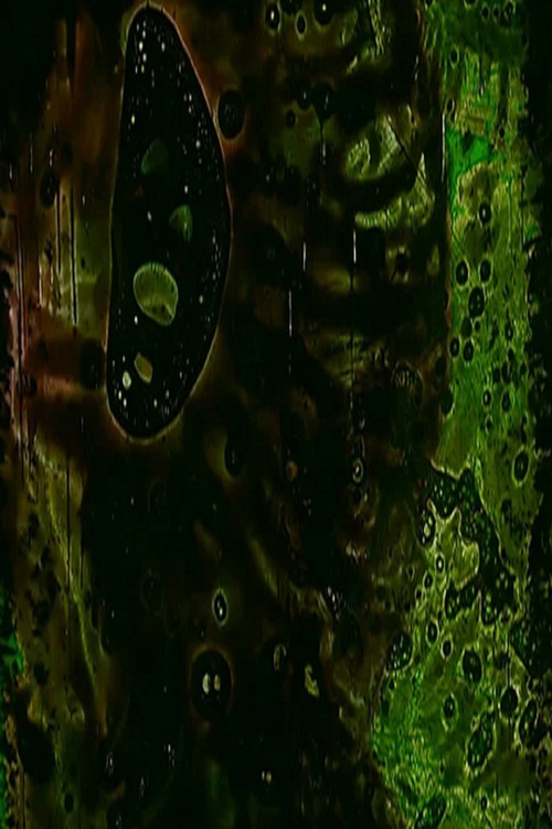 Tamper Oh No (Part II) (2010) poster