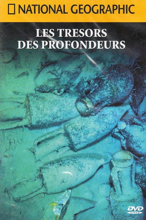 The Treasures of the Depths (2014) poster