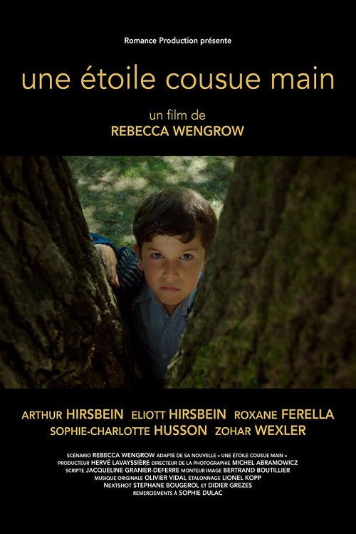 A Hand Sewn Star (2018) poster