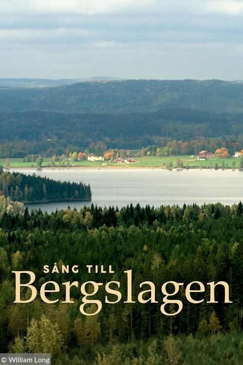 Song to Bergslagen (2020) poster