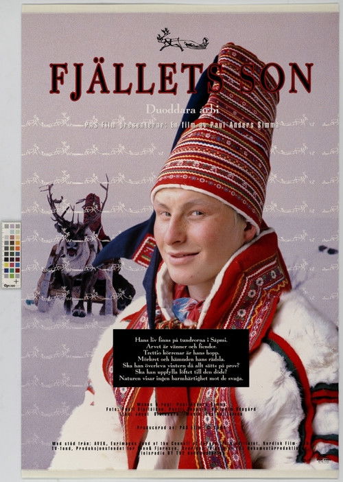 Duoddara árbi (1994) poster